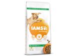 Iams Dog Adult Large Pollo 12 Kg