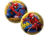 Palla Spiderman 23 Cm