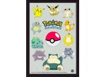 Pokemon - PokéMon - Gruppo - Specchio Stampato 20X30 Cm In Cornice Di Plastica