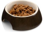 Ciotola Per Gatti In Ceramica Da 13 Cm Di Canadiancat - Antiscivolo E Igienica