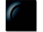 Busch-Jaeger Piastra Centrale Sw Mt 1785-775 2CKA001753A0152
