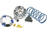 Variatore Polini HI-SPEED Honda 50 Vision 4T