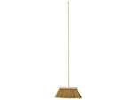 Enpro KošTě ChodníKové 250 X 60 Mm S NáSadou 120 Cm Vlas 12 Cm