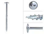 Viti A Testa Bombata Zincate 10 X 160 Mm Torx 40 - Confezione Da 50 Pezzi