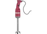 Frullatore Manuale Hendi Profi Line 250 Con 15000 Giri/Minuto E 20 Litri Con Caraffa Frullante Da 250 Mm