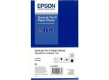 Carta Epson Surelab Pro-S Glossy - Lucida - 252 Micron - Rotolo (15,2 Cm X 65 M) - 252 G/M² - 2 Rotoli Di Carta