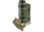 Carson Car MM-24 - Microscopio Tascabile 20X 40X