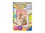 Ravensburger 29686 Ravensburger Malen-Nach-Zahlen Katzenbabys