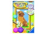 Ravensburger Creart 28511 - Piccolo Golden Retriever - Cane Da Colorare Con I Numeri Per Bambini Dai 7 Anni In Su 28511