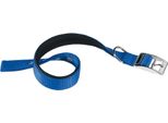 Collana Ferplast Daytona C40 63 Blu