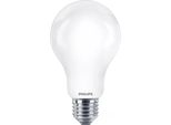 Philips Lampada Led Lampadina Led 13W E27 A67 Filamento 2000Lm Bianco Neutro 4000K Come 120W