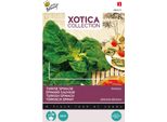 Semi Di Spinacio Turco Buzzy Xotica - 20 Gr Circa | Buzzy_080475