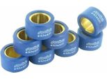 Rulli Variatore Polini 25X15 16,2 Gr