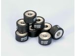Rulli Variatore Polini 25X15 14,0 Gr