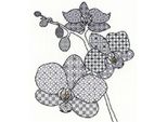 Set Punto Croce Bothy Threads Blackwork "Orchid"", 27X33Cm, XBW2, Schema Contato"