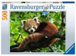 Carino Panda Rosso Ravensburger 17381