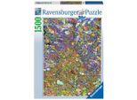 Tanti Pesci Colorati Ravensburger 17264