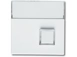 Busch-Jaeger 1571 CN-84 Piastra Di Centro, 1-Gang, Con Campo Di Etichettatura, Busch-Infoline, Bianco (2CKA001582A0346)