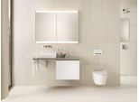 Geberit One Plaque De Lavabo, DéCoupe à Gauche, Pour Lavabo à Poser, 120X3X47Cm, 505.305.00.6, 505.305.00.6