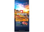 Ontario Senior Medio Lamm