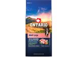 Ontario Adult Large Chicken