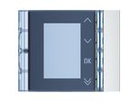 Bticino Modulo Display Frontbl Allmetal (352501)