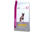 Eukanuba Breed Specific German Shepherd Cibo Secco - Cibo Premium Per Cani Con Pollo, 12 Kg, Ottimizzato Per La Razza