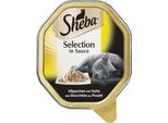 Sheba Schale Selezione In Salsa Di Pollo 85Gx22