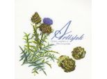 Thea Gouverneur Kit Punto Croce "Artichoke Evenweave"", 44X44Cm"