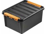 Smartstore 3193090 Smartstore Box Pro 31, 32 Litri, Nero