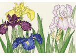Set Per Punto Croce Bothy Threads "Iris Blossoms"", 36X24Cm, XBD14, Schema Contato"