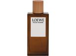 Loewe For Men Eau De Toilette Spray 100Ml