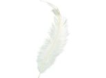 10XKNORR Prandell 216615007 Feder 35Cm Ws