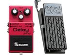 Boss Dm-2W Delay Waza Con Pedale D'espressione EV-5