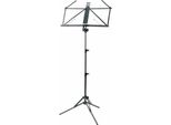 Mano 37855 Leggio, Leggio