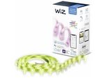 Wiz Striscia Led 1M Estensione