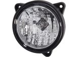 Faro Da Lavoro Alogeno A Distanza Ravvicinata Hella Per Case Ih Same Claas