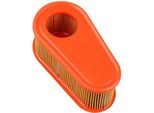 Motore Filtro Aria Briggs Stratton 800 850 875 795066 Originale