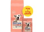Purina Dog Chow Cibo Secco Per Cani Sensitive Adult Con Salmone 14 + 2,5 Kg