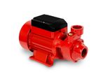 Pompa Per Acqua Eberth Pompa Da Giardino Pompa Centrifuga Aspirante, Attacco Da 1 Pollice, Potenza 750 Watt, Prevalenza Di Aspirazione 8 M, Prevalenza Di Mandata 50 M, Portata 2.400 L/H