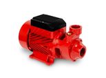 Pompa Per Acqua Eberth Pompa Da Giardino Pompa Centrifuga Aspirante, Attacco Da 1 Pollice, Potenza 370 Watt, Prevalenza Di Aspirazione 8 M, Prevalenza Di Mandata 35 M, Portata 2.100 L/H