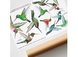 Bellissimi Adesivi Per Finestre Colibrì Uccelli Bifacciali - Protezione Uccelli - Adesivi Decorativi Per Finestre Decorazione Davanzale Della Finestra