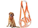 Imbracatura Di Sollevamento Regolabile E Traspirante Per Cani - Supporto Per Le Zampe Posteriori - Cani Anziani, Disabili, Artritici, Paralizzati - Taglia L.
