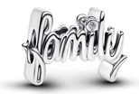 Pandora Moments Charm Family Argento 794250C01