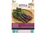 Buzzy Xotica Hon Tsai Tai - Semi Di Yu Choi Sum - Circa 1 Gr | Buzzy_080426