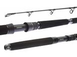 Daiwa Canna Bg Deep Sea 2,20 M 30-40 Lbs 2 Pezzi