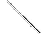 Daiwa Canna Bg Boat 2,10M 150-400G 2 Pezzi