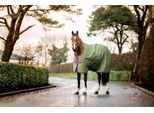 Horseware Amigo Hero 600D Ripstop 50G Coperta Impermeabile Bramble/Winterberry, Misura: 6'3/140