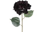 Countryfield Fiore Artificiale Ortensia Decorazione Nero-Viola 68Cm