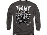 Teenage Mutant Ninja Turtles - Maglietta "Tmnt Team"" Per Uomo/Donna Unisex TV10629 (M) (Charcoal)"